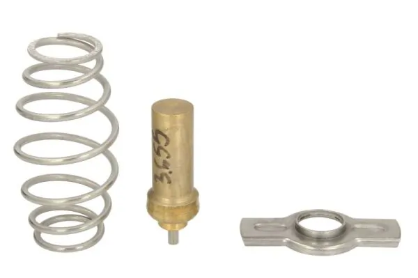 THERMOTEC D2IV008TT Thermostat, coolant