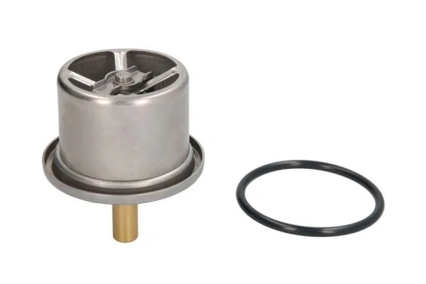 Thermostat, coolant D2DA006TT