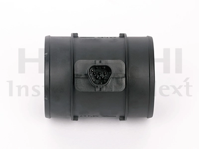 Mass Air Flow Sensor 2505119