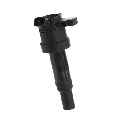 Ignition Coil Hueco 134081