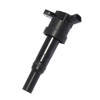 Ignition Coil Hueco 134079