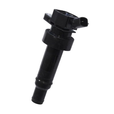 Ignition Coil Hueco 134080