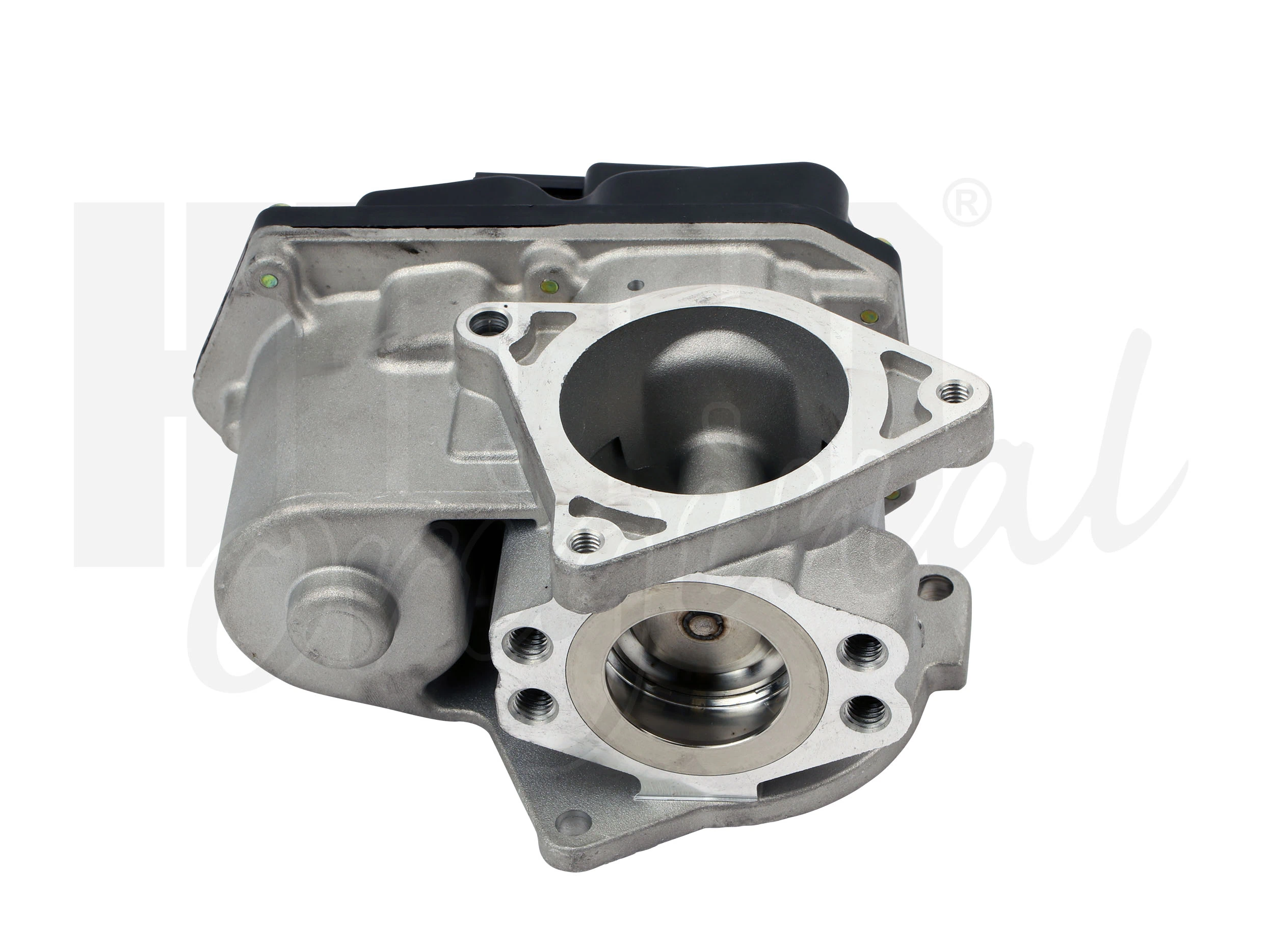 EGR Valve Hueco 138460
