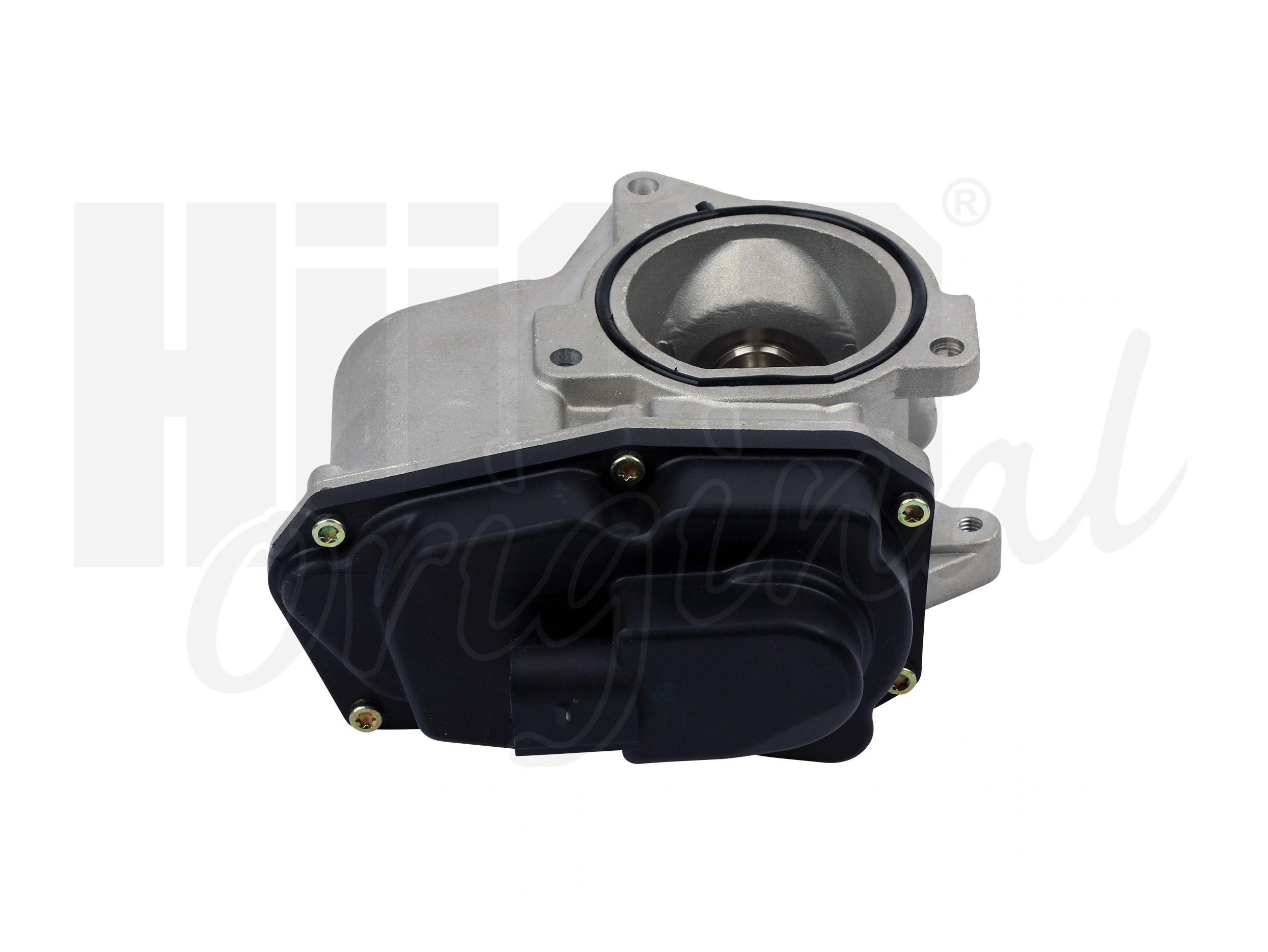 EGR Valve Hueco 138460