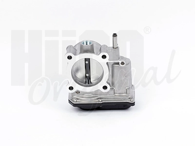 Throttle Body Hueco 138579