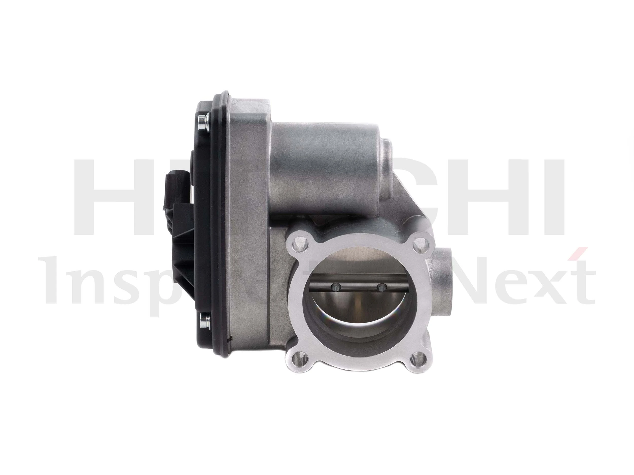 Throttle Body 2508519
