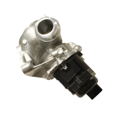 EGR Valve Hueco 138481