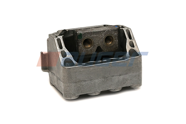 Mounting, engine 81881