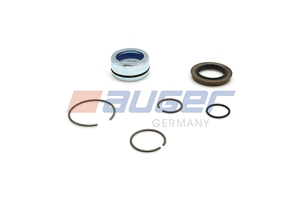 Repair Kit, tilt pump 55501
