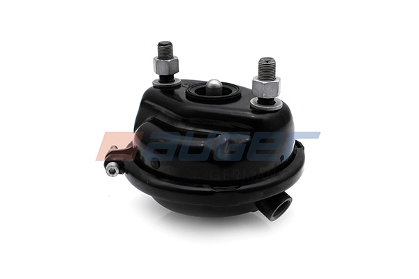 Diaphragm Brake Cylinder 21124