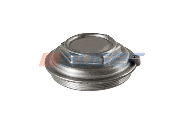Cap, wheel bearing 54395