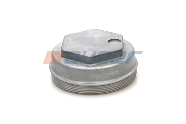 Cap, wheel bearing 53844