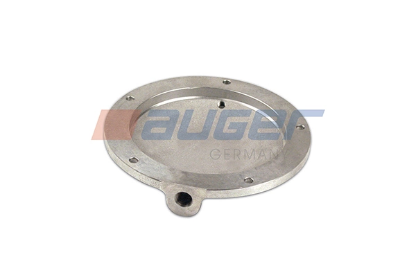 Cover, wheel hub 54661