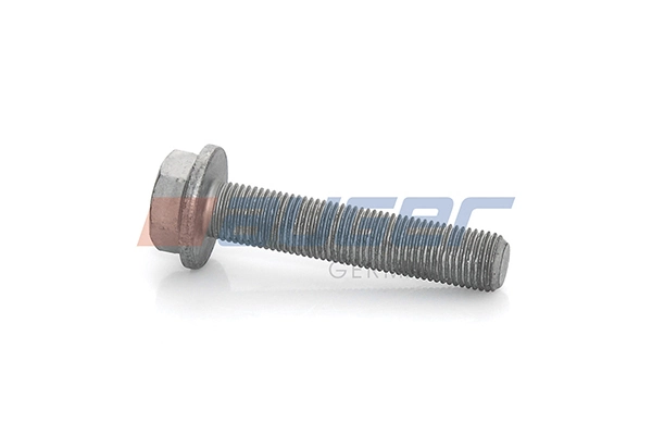 Bolt, brake disc 77251