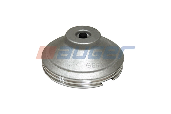 Cap, wheel bearing 55547