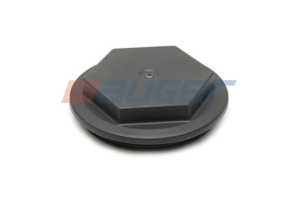 Protecting Cap, spring support axle 80684