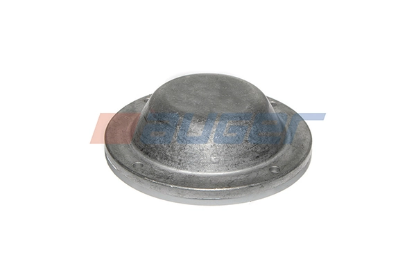 Cap, wheel bearing 80248