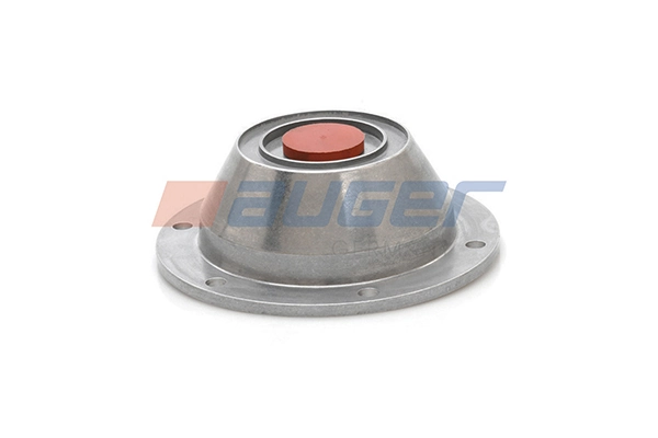 Cap, wheel bearing 53748