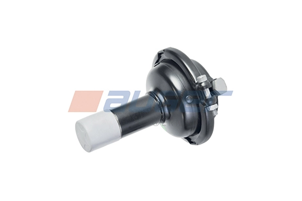Diaphragm Brake Cylinder 21168