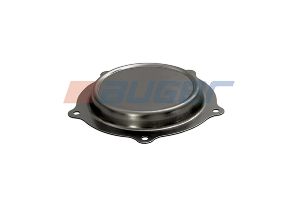 Cap, wheel bearing 54408