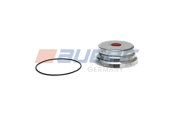 Cap, wheel bearing 55595
