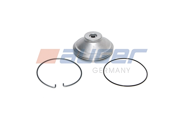 Cap, wheel bearing 77957