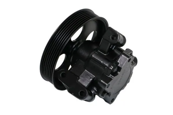 Hydraulic Pump, steering 55.4299