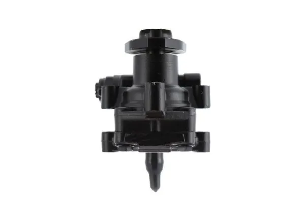 Hydraulic Pump, steering 55.9694