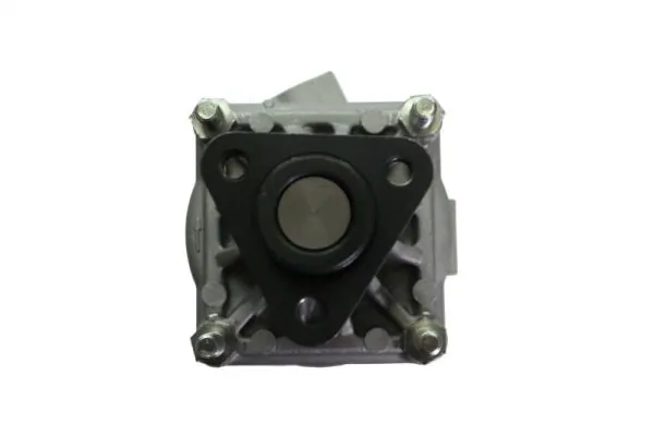 Hydraulic Pump, steering 55.0039