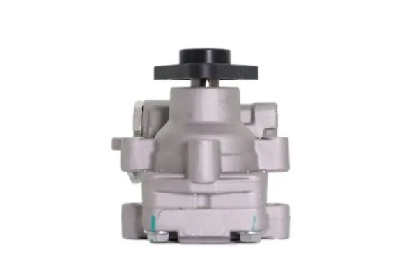 Hydraulic Pump, steering 55.9692