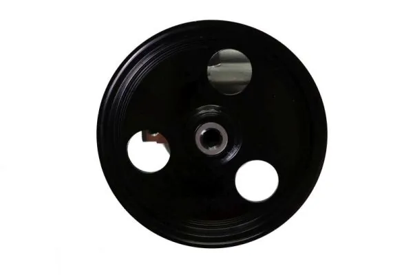 Hydraulic Pump, steering 55.3105