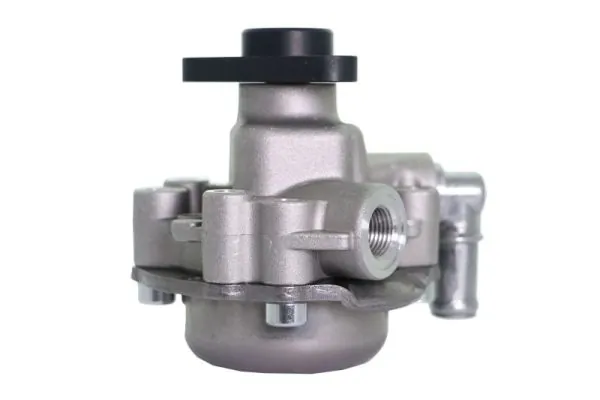 LAUBER 55.0621 Hydraulic Pump, steering