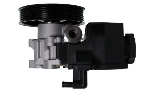 Hydraulic Pump, steering 55.2901