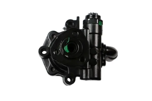 Hydraulic Pump, steering 55.9694