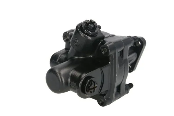 Hydraulic Pump, steering 55.0039