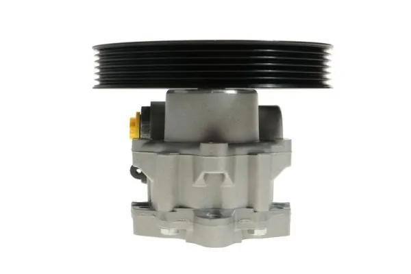 Hydraulic Pump, steering 55.0479