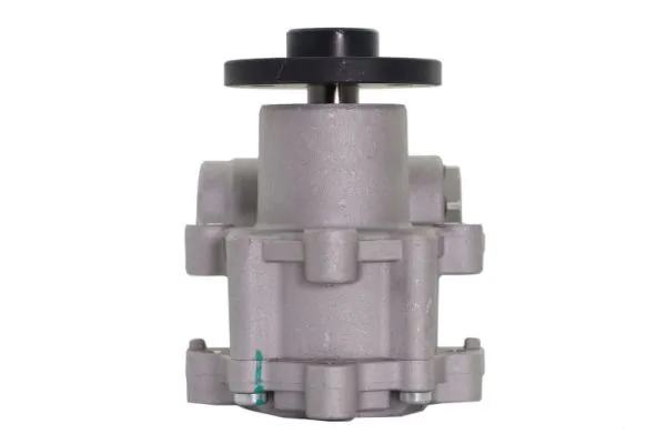 Hydraulic Pump, steering 55.1982