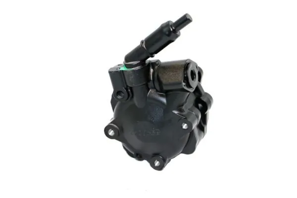 Hydraulic Pump, steering 55.4317