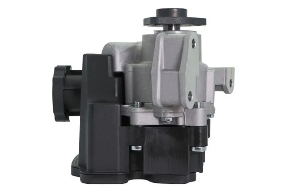 Hydraulic Pump, steering 55.1030