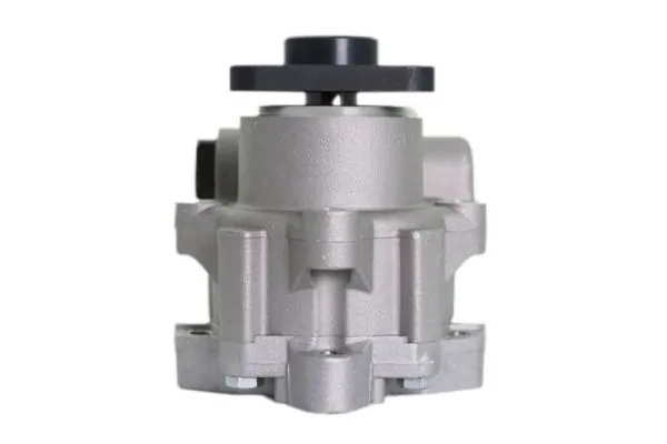 Hydraulic Pump, steering 55.5102