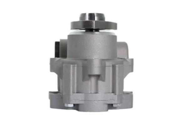 Hydraulic Pump, steering 55.5213