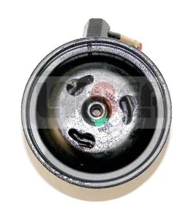 Hydraulic Pump, steering 55.1947