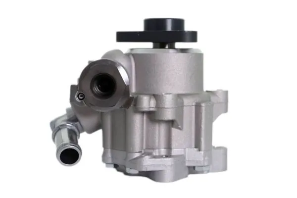 Hydraulic Pump, steering 55.5133