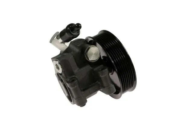 Hydraulic Pump, steering 55.1244