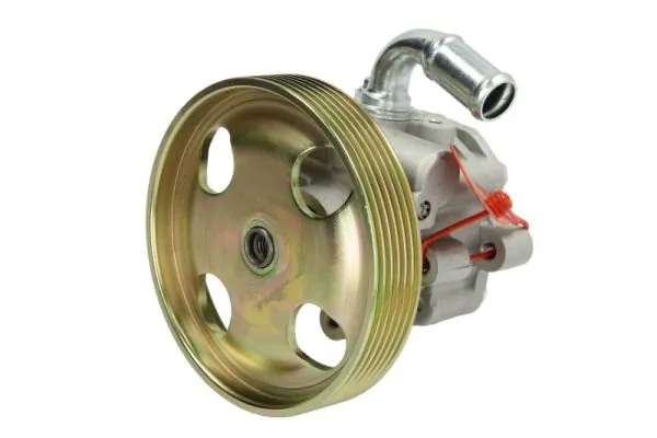 Hydraulic Pump, steering 55.1225