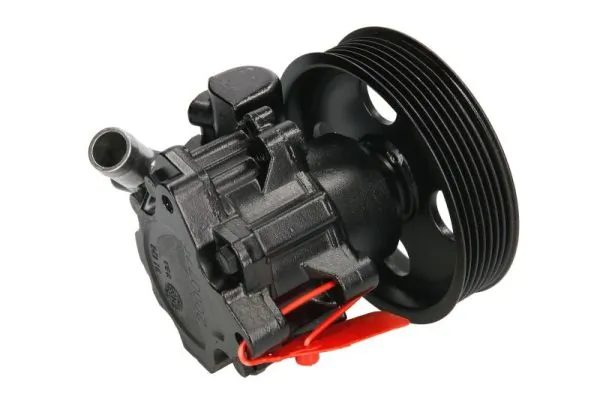 Hydraulic Pump, steering 55.6077