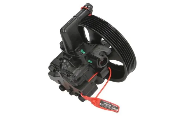 Hydraulic Pump, steering 55.6169