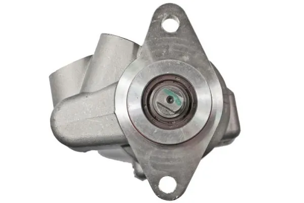 Hydraulic Pump, steering 55.0461