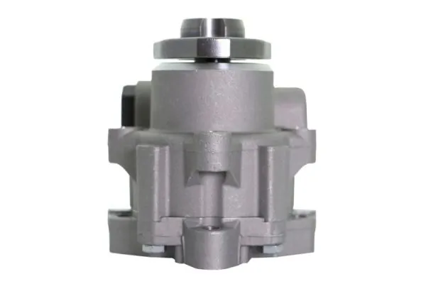 LAUBER 55.0493 Hydraulic Pump, steering