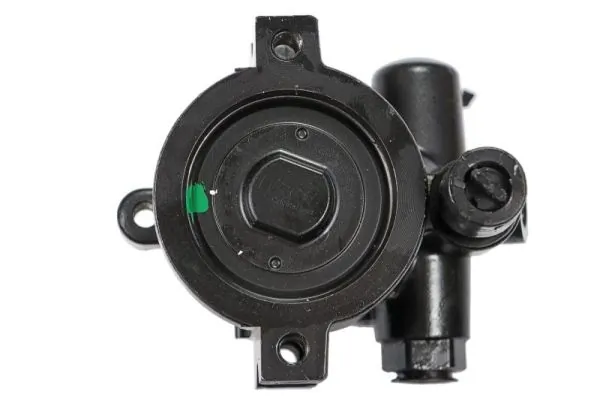 Hydraulic Pump, steering 55.0048